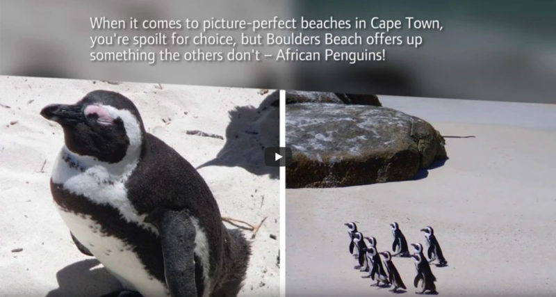 Global-Footprint---Cape-Town