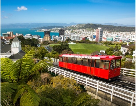 about-locations-Wellington-thumb