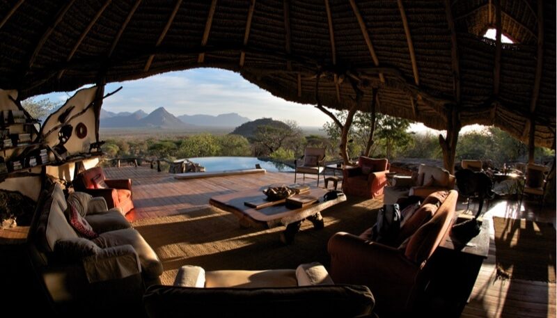 Discovery of the camp and first game drive