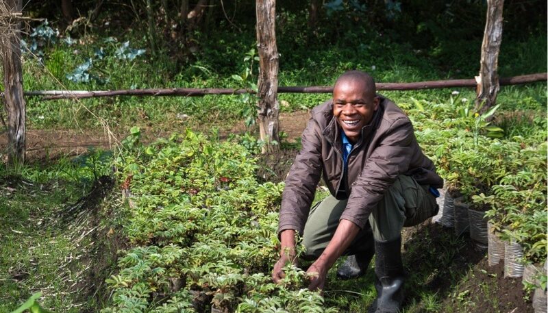 On the footsteps of Dian Fossey