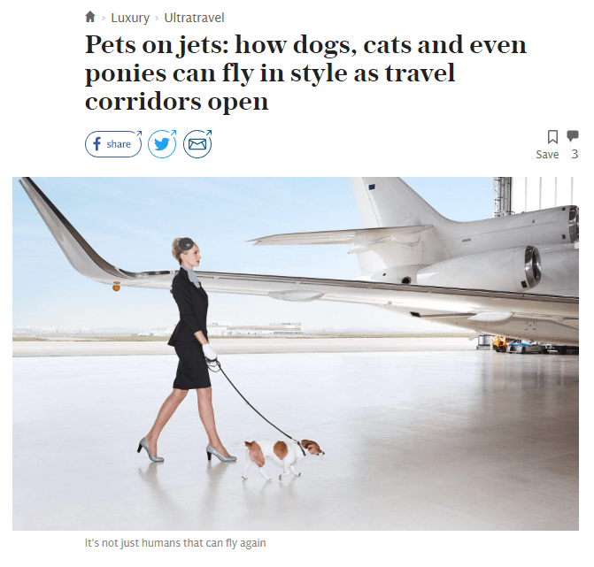 Pets on jets: how dogs, cats and even ponies can fly in style as travel corridors open