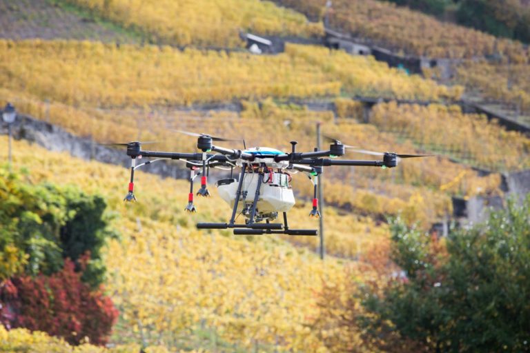 Les robots au service de la viticulture