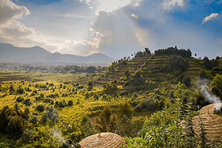 Rwanda Feel the pulse of the vibrant and creative Kigali in the land a thousand hills