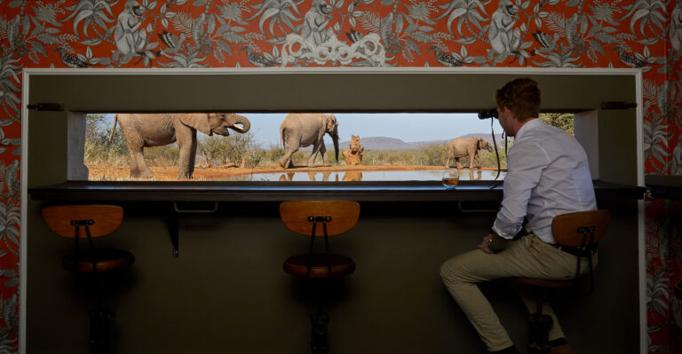 Molori Safari 