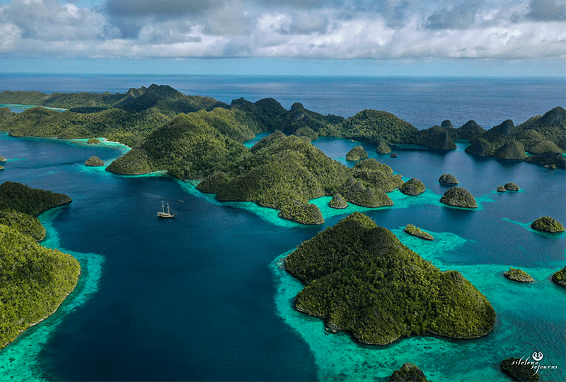 Indonesia - Swimming with giant manta rays in Raja Ampat archipelago