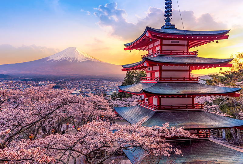 Japan ? A Journey Through Compelling Culture