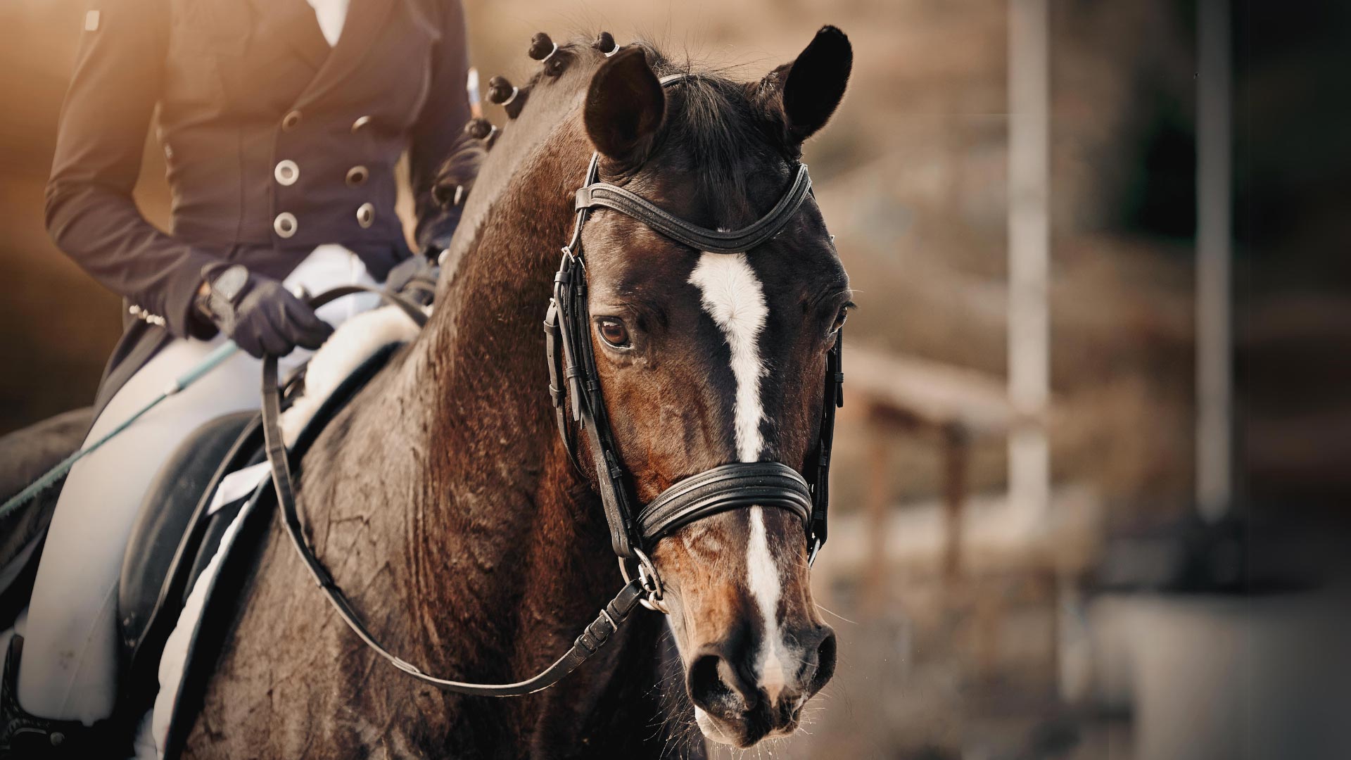 Royal Elegance in Versailles - With La Fugue